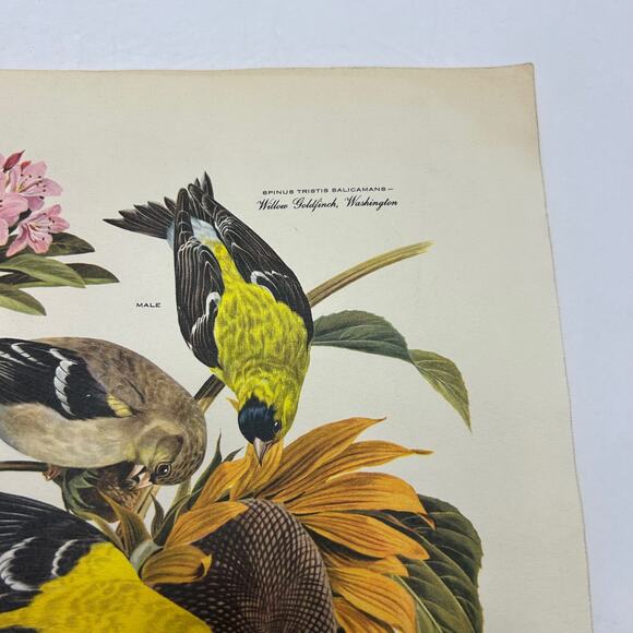 Vintage MCM Arthur Singer Series of Paintings American Home Magazine #'s 1,2,&6 - Picture 14 of 16